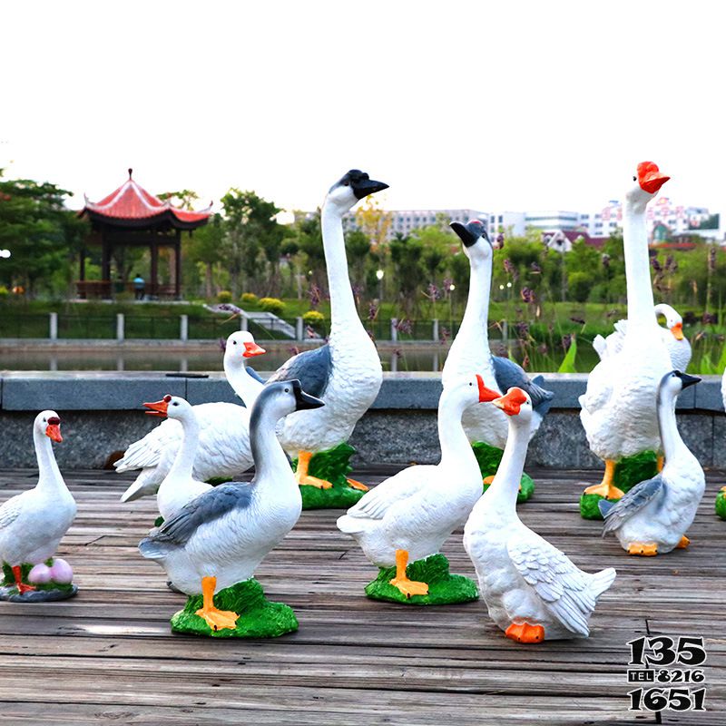 天鵝雕塑-公園玻璃鋼仿真彩繪天鵝雕塑高清圖片