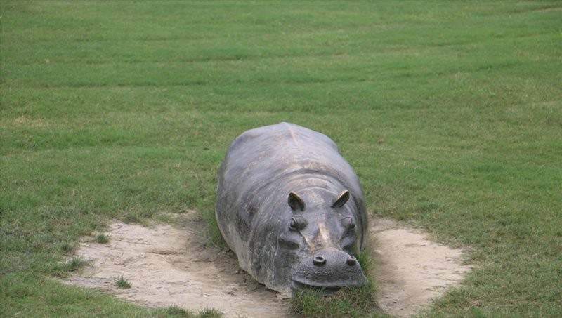 銅雕趴著的河馬-銅雕河馬公園動物雕塑高清圖片