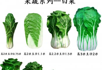 玻璃鋼果蔬白菜雕塑-玻璃鋼果蔬白菜雕塑，仿真玻璃鋼白菜雕塑